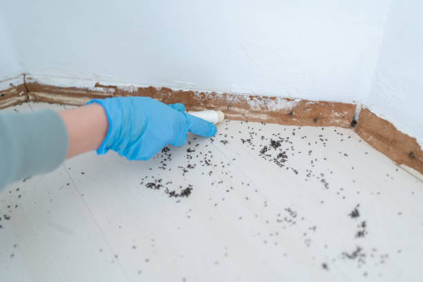 Best Residential Pest Control  in Pooler, GA